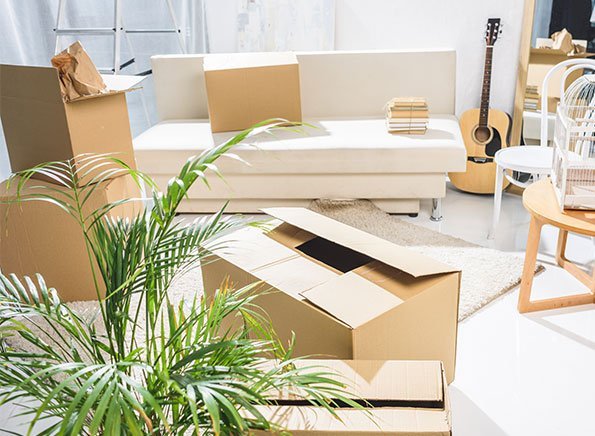 go-organised-home-packing